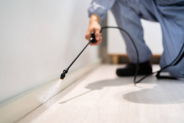 Licensed Pest Control service in Carrier Mills, IL - Show Me Pest Control