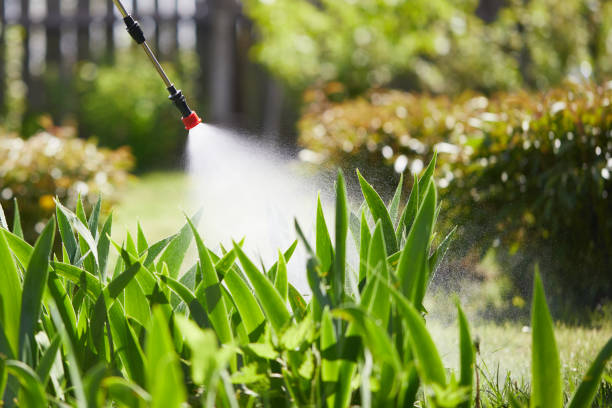 24/7 Emergency Mosquito Control experts in Carrier Mills, IL