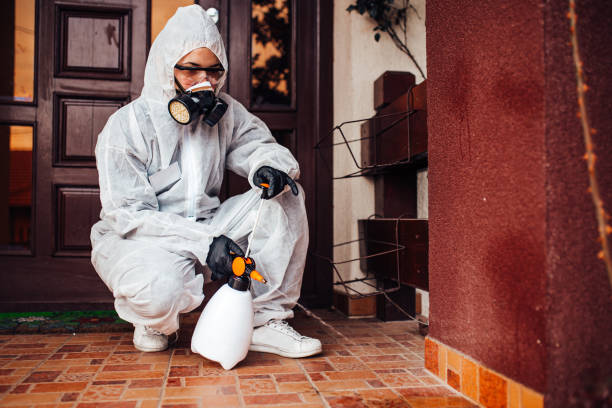 Reliable Mosquito Control contractor in Carrier Mills, IL by Show Me Pest Control