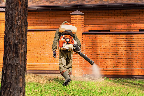 Top rated local Mosquito Control specialists in Carrier Mills, IL
